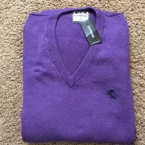 Express Men’s Sweater